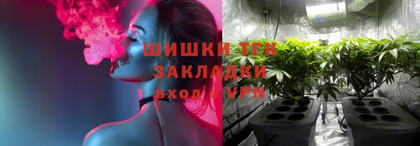 бошки Алексин