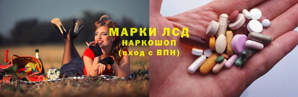 ГАЛЛЮЦИНОГЕННЫЕ ГРИБЫ Алзамай