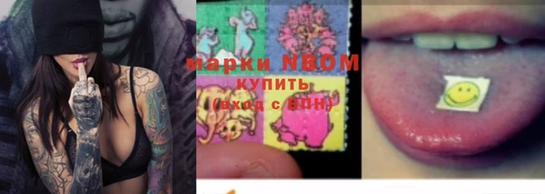 крисы Аркадак