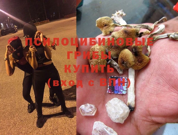 бошки Алексин