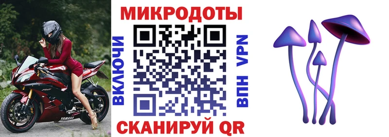 хочу   Чухлома  Псилоцибиновые грибы Psilocybe 